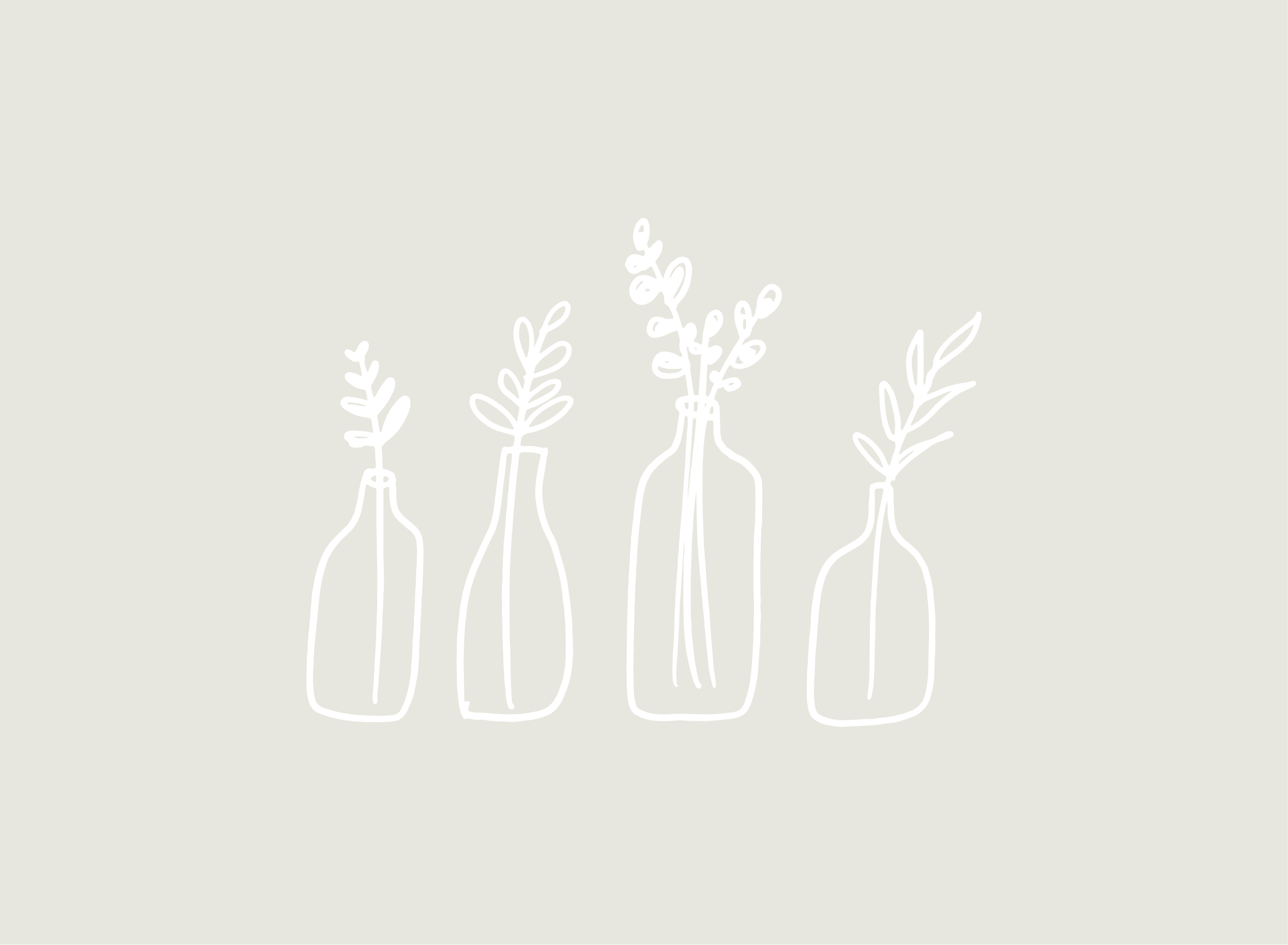 four leafy plants in vases